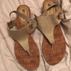 White Mountain Wedges